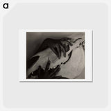 アートポストカード-Hands and Horse Skull - アルフレッド スティーグリッツ Postcard.