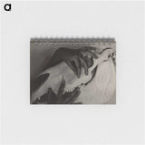 1-51_Alfred-Stieglitz_memo