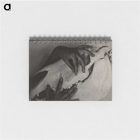 1-51_Alfred-Stieglitz_memo