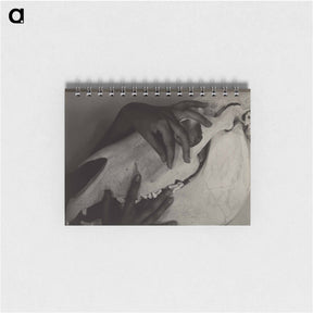 アートメモ帳-Hands and Horse Skull - アルフレッド スティーグリッツ Memo.