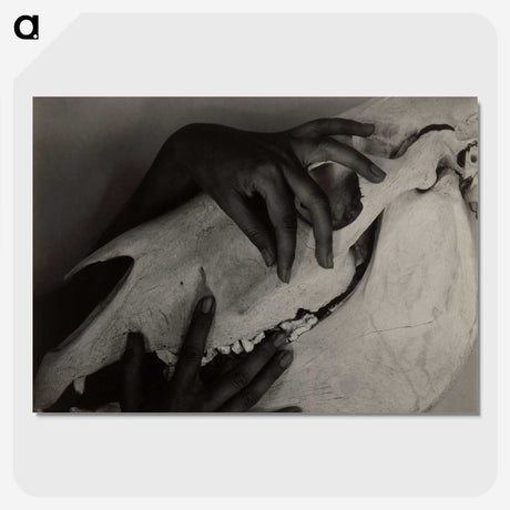 1-51_Alfred-Stieglitz_picture-crop