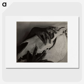 1-51_Alfred-Stieglitz_picture