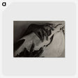 1-51_Alfred-Stieglitz_postcard