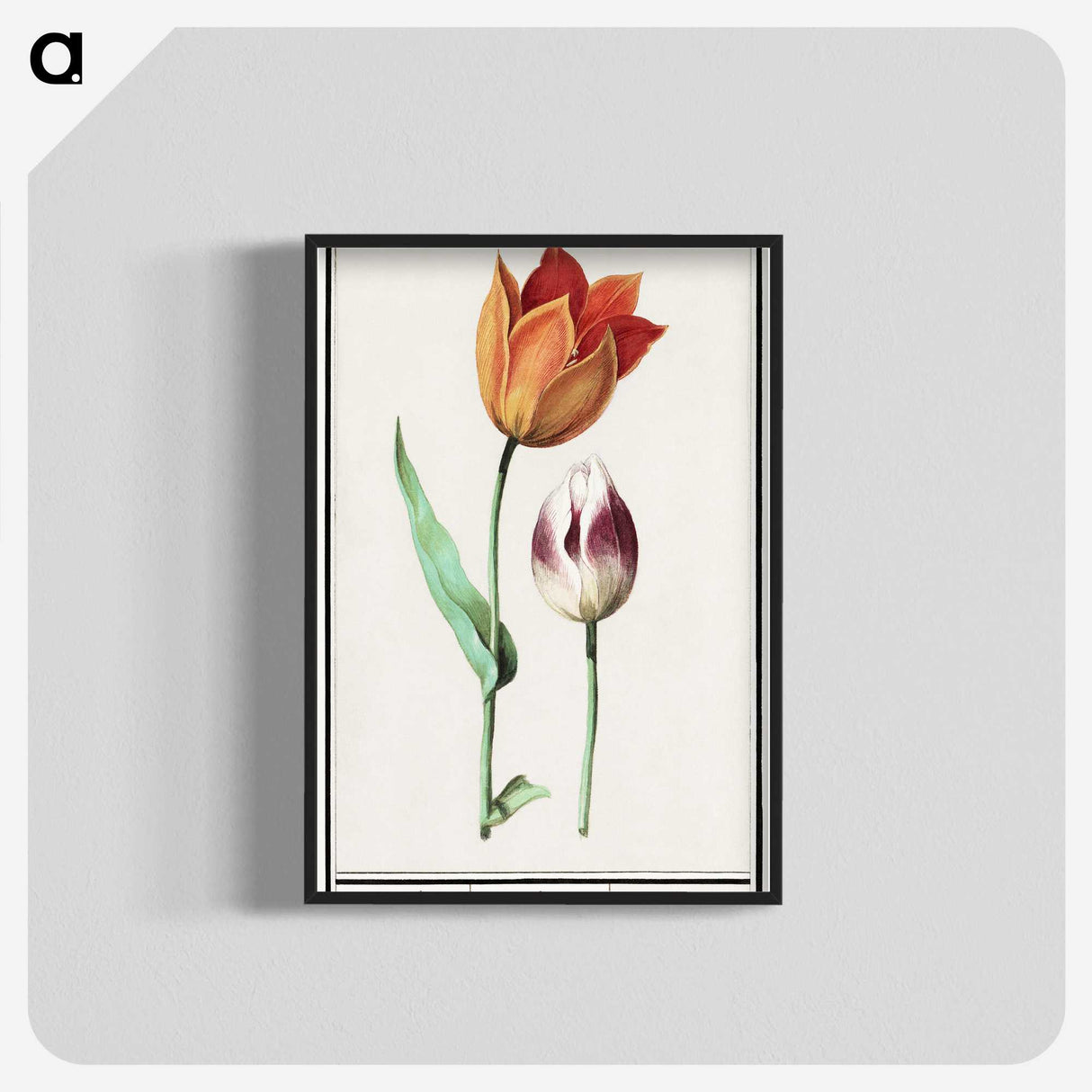1-51_Anselmus-Boetius-de-Boodt_blk-crop