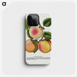 1-51_Botanical-Specimen-Plates_phone