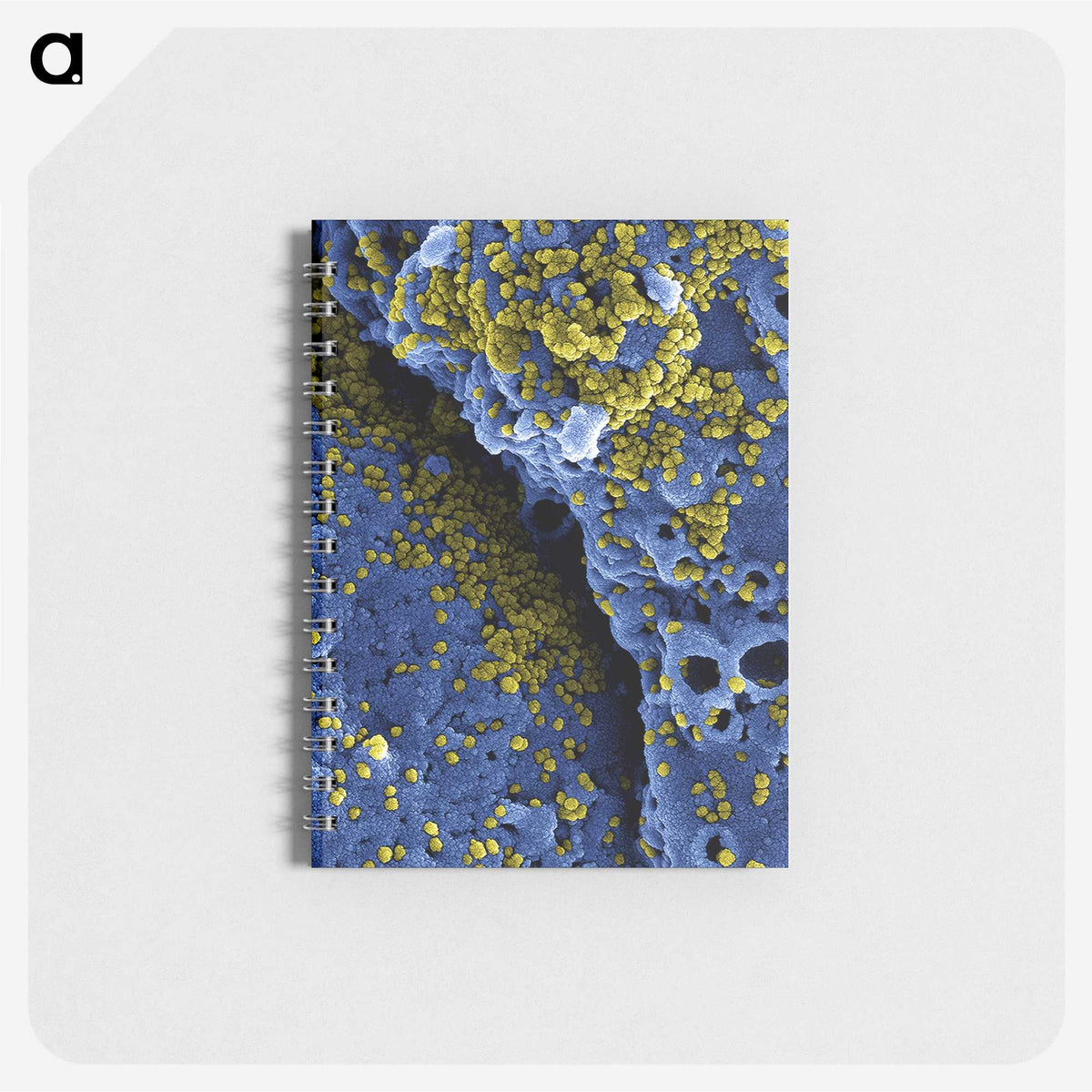 1-51_COVID-19_memo