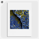 1-51_COVID-19_picture