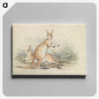1-51_Charles-Hamilton-Smith_canvas