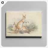 1-51_Charles-Hamilton-Smith_canvas