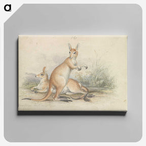 1-51_Charles-Hamilton-Smith_canvas