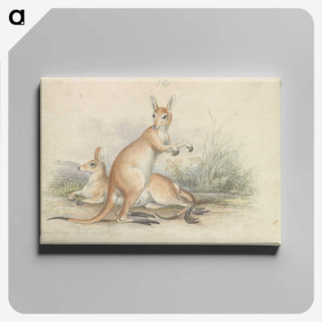 1-51_Charles-Hamilton-Smith_canvas