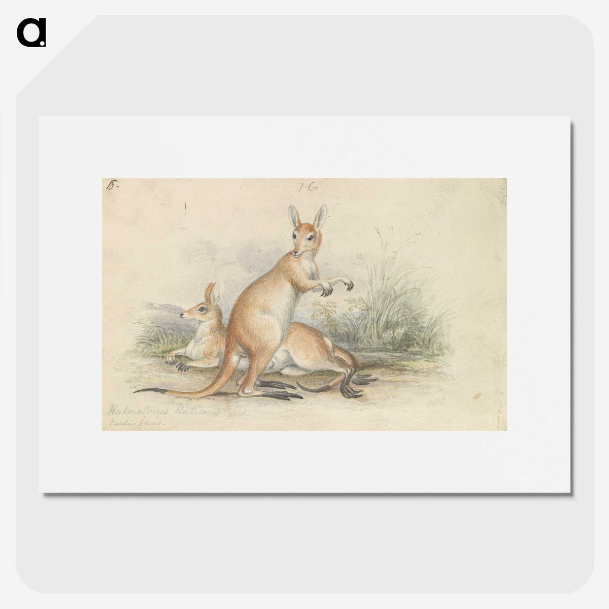 1-51_Charles-Hamilton-Smith_picture