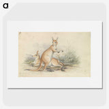 1-51_Charles-Hamilton-Smith_picture