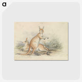 1-51_Charles-Hamilton-Smith_postcard