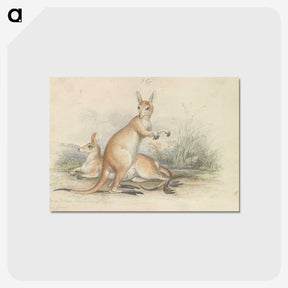 1-51_Charles-Hamilton-Smith_postcard