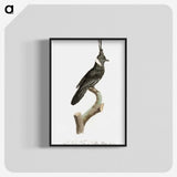 1-51_Des-Oiseaux-de-Paradis_blk-crop