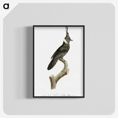 1-51_Des-Oiseaux-de-Paradis_blk-crop