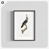1-51_Des-Oiseaux-de-Paradis_blk