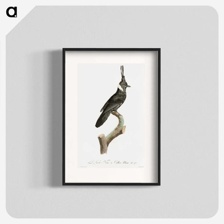 1-51_Des-Oiseaux-de-Paradis_blk