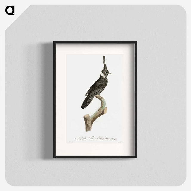 1-51_Des-Oiseaux-de-Paradis_blk