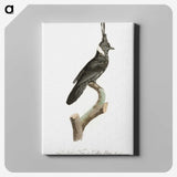 1-51_Des-Oiseaux-de-Paradis_canvas