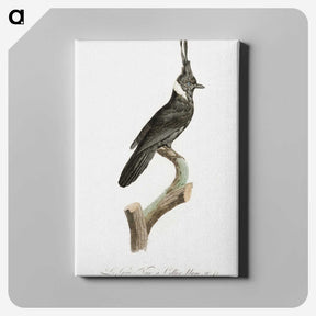 1-51_Des-Oiseaux-de-Paradis_canvas