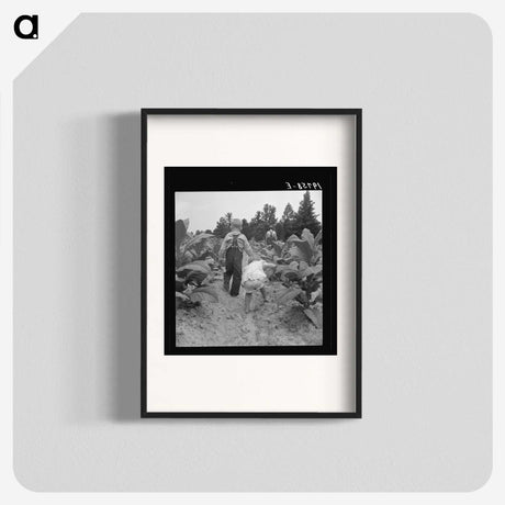 1-51_Dorothea-Lange_blk