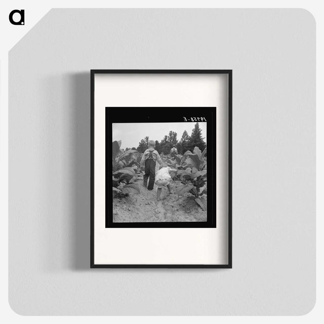 1-51_Dorothea-Lange_blk