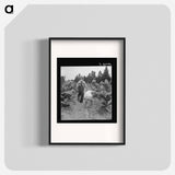 Children helping father, tobacco sharecropper, at work in tobacco patch - Dorothea Lange Poster.