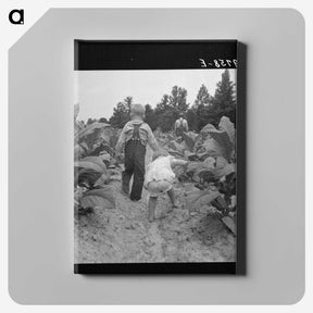 1-51_Dorothea-Lange_canvas