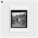 1-51_Dorothea-Lange_hagaki