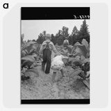 1-51_Dorothea-Lange_picture-crop