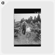 1-51_Dorothea-Lange_postcard
