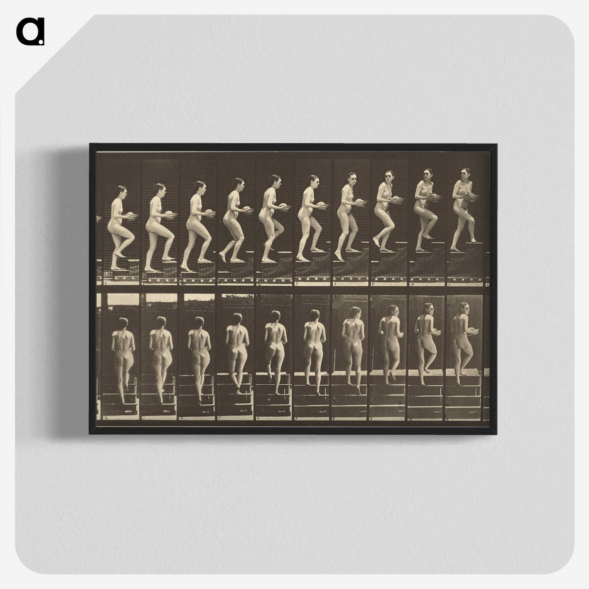 1-51_Eadweard-Muybridge_blk-crop