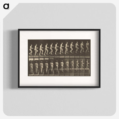 1-51_Eadweard-Muybridge_blk