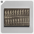 1-51_Eadweard-Muybridge_canvas