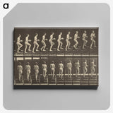 1-51_Eadweard-Muybridge_canvas