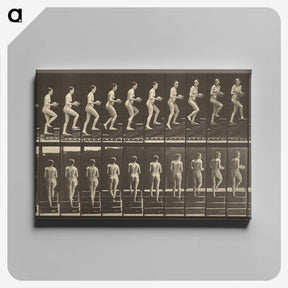 1-51_Eadweard-Muybridge_canvas