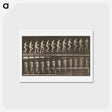 アートポストカード-Animal Locomotion
 - エドワード マイブリッジ Postcard.