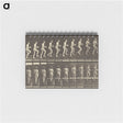 1-51_Eadweard-Muybridge_memo