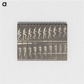 1-51_Eadweard-Muybridge_memo