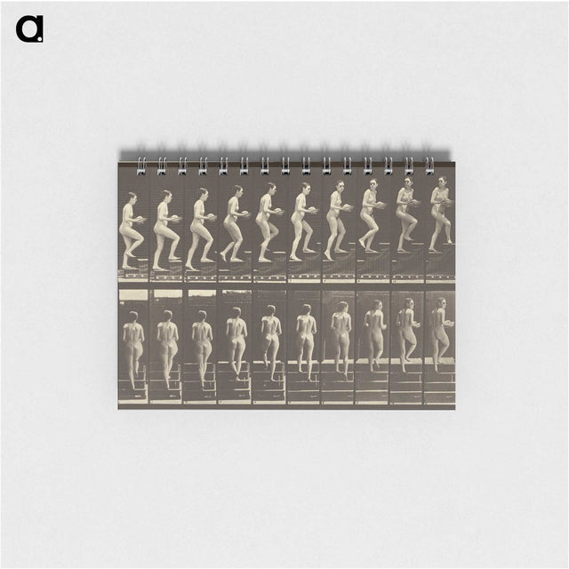 1-51_Eadweard-Muybridge_memo