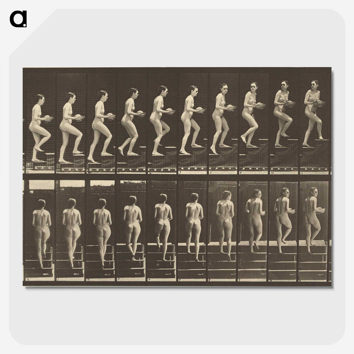 1-51_Eadweard-Muybridge_picture-crop