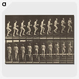 1-51_Eadweard-Muybridge_picture-crop