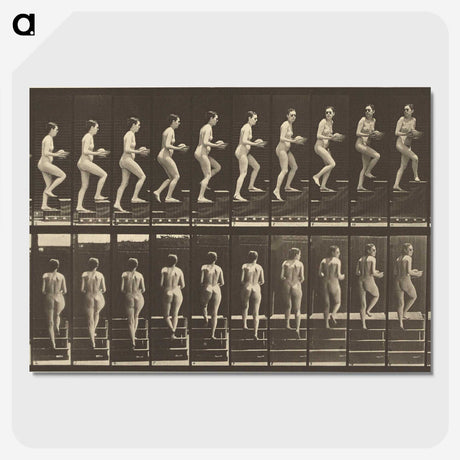 1-51_Eadweard-Muybridge_picture-crop