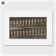 1-51_Eadweard-Muybridge_picture