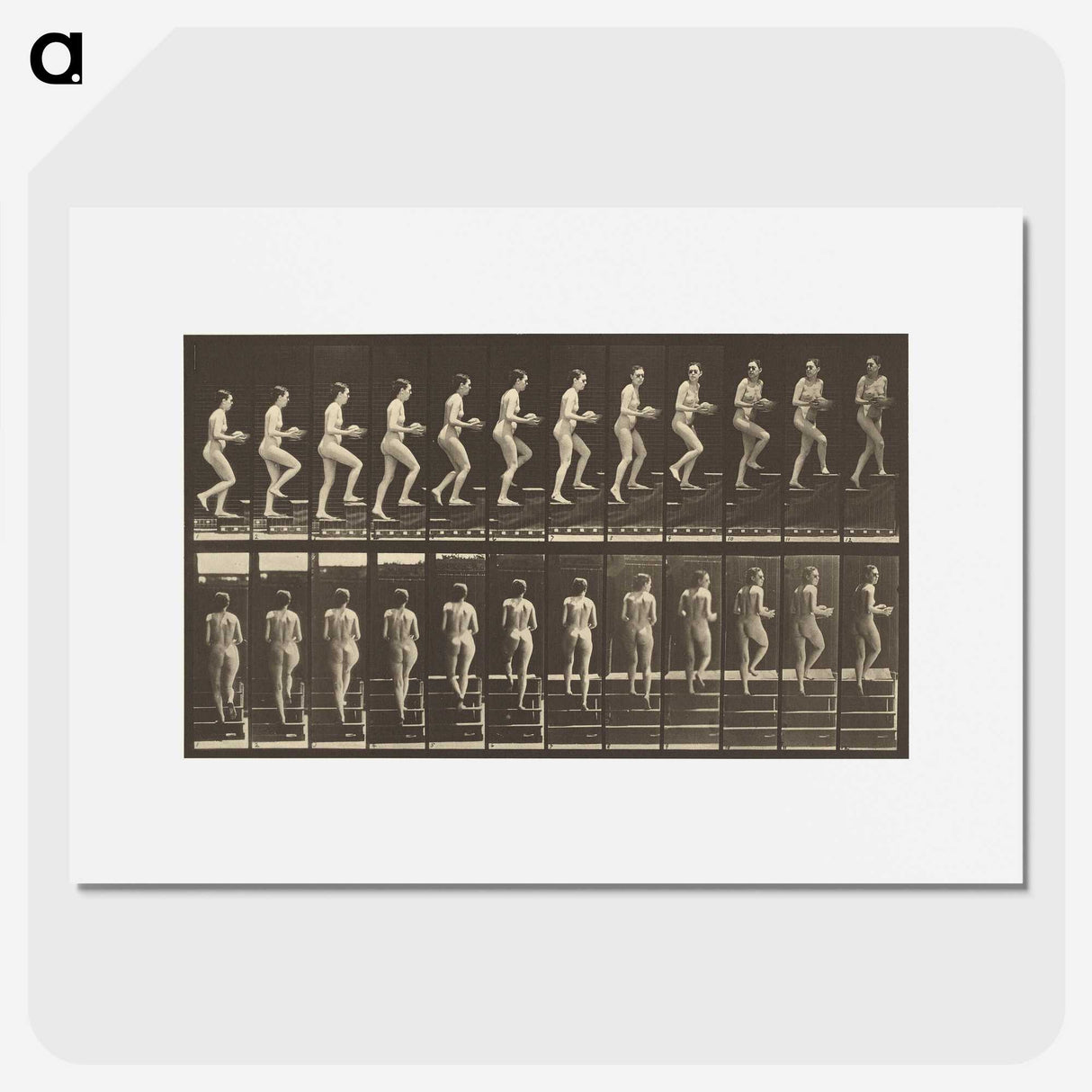 1-51_Eadweard-Muybridge_picture