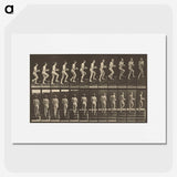 1-51_Eadweard-Muybridge_picture