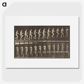 1-51_Eadweard-Muybridge_picture