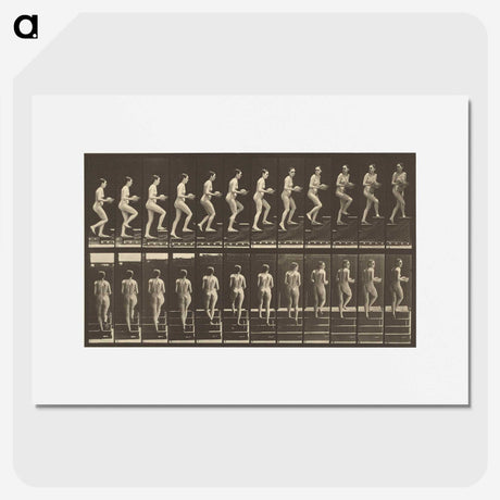 1-51_Eadweard-Muybridge_picture